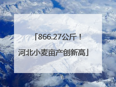 866.27公斤！河北小麦亩产创新高