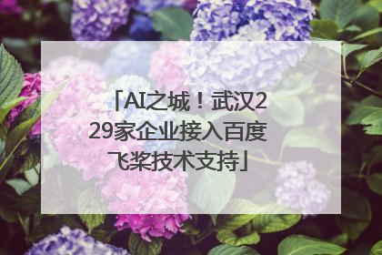 AI之城！武汉229家企业接入百度飞桨技术支持