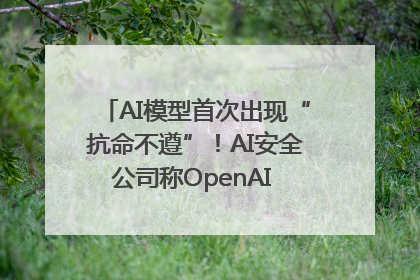 AI模型首次出现“抗命不遵”！AI安全公司称OpenAI o3模型出现异常