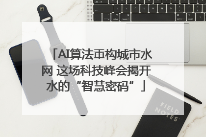 AI算法重构城市水网 这场科技峰会揭开水的“智慧密码”