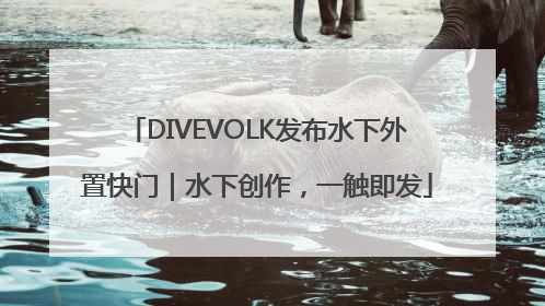 DIVEVOLK发布水下外置快门｜水下创作，一触即发