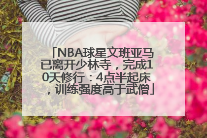 NBA球星文班亚马已离开少林寺，完成10天修行：4点半起床，训练强度高于武僧