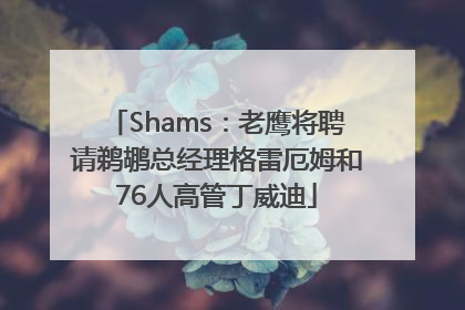 Shams：老鹰将聘请鹈鹕总经理格雷厄姆和76人高管丁威迪