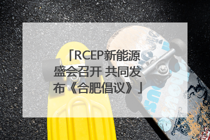 RCEP新能源盛会召开 共同发布《合肥倡议》